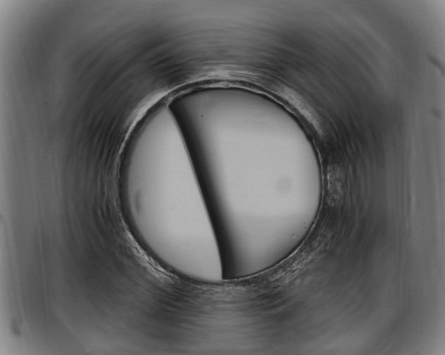 X0000097500972200802220838
