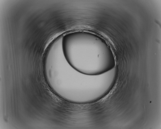X0000097500973200802220838