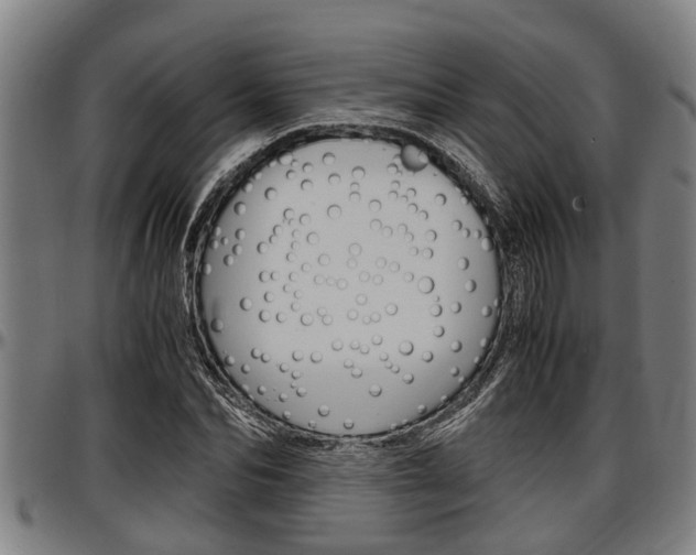 X0000097500974200802220838