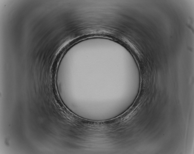 X0000097500975200802220837