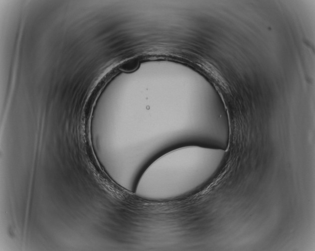 X0000097500976200802220837
