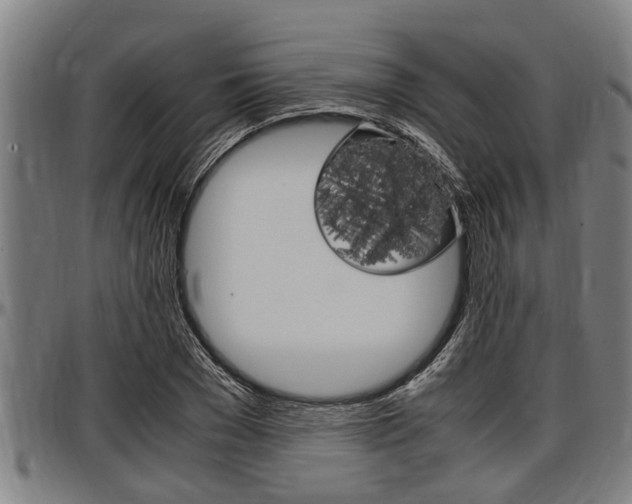 X0000097500977200802220837