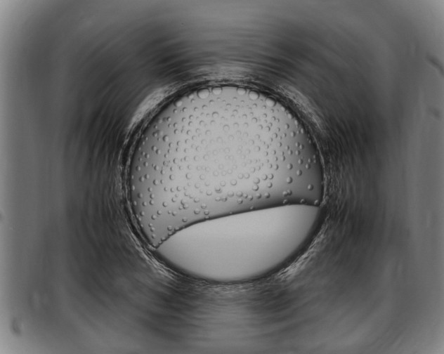 X0000097500978200802220837