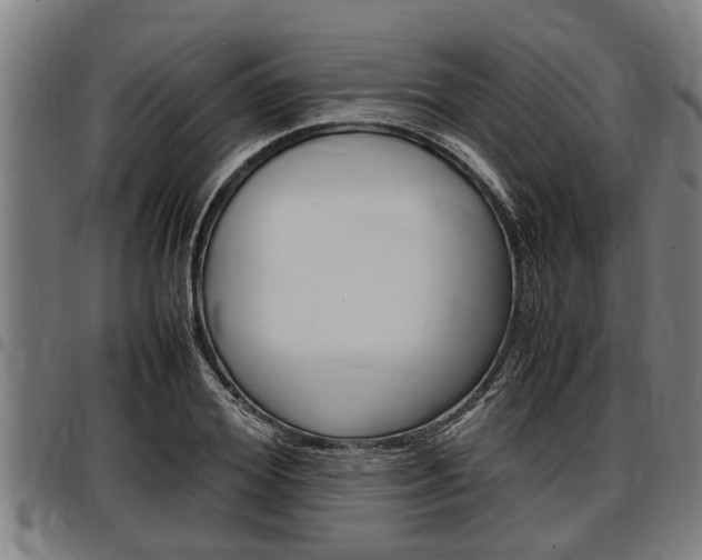X0000097500980200802220837
