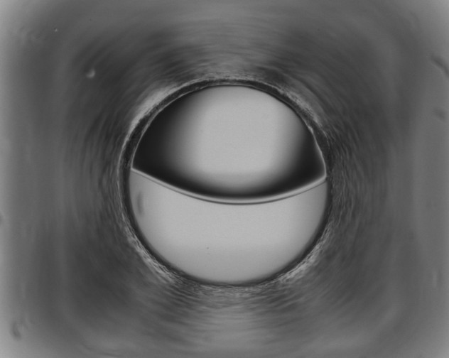 X0000097500981200802220837