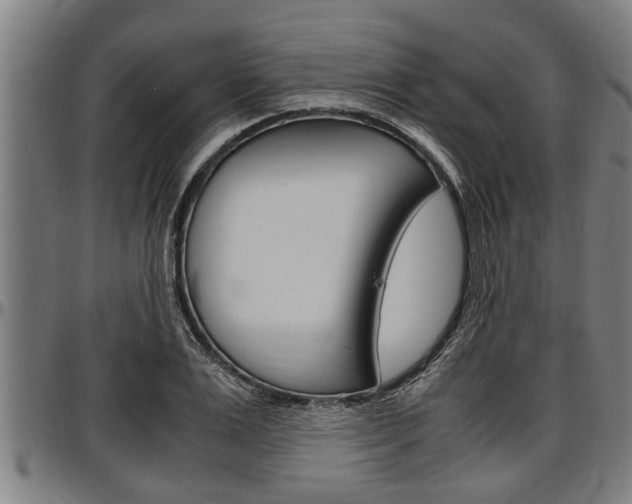 X0000097500983200802220837