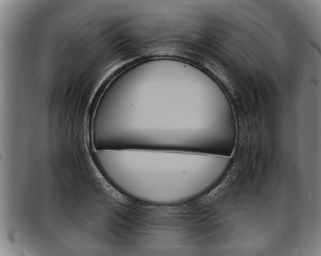 X0000097500984200802220837