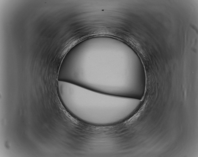 X0000097500985200802220837