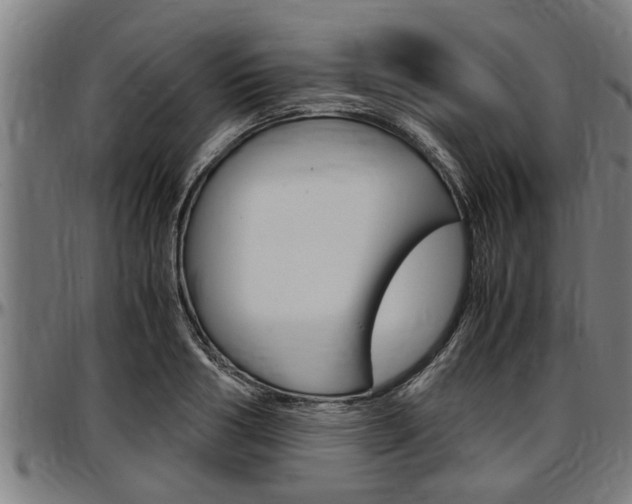 X0000097500986200802220837