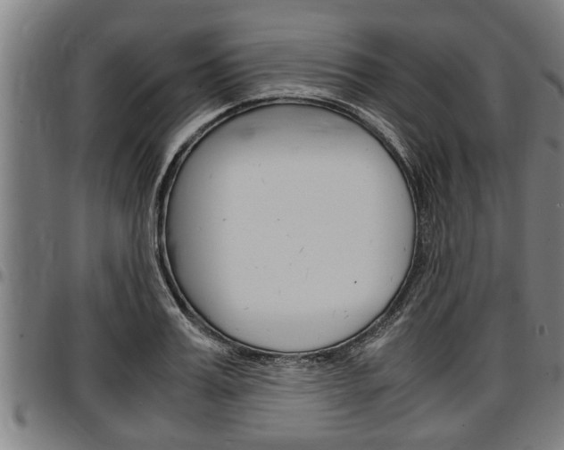 X0000097500987200802220837