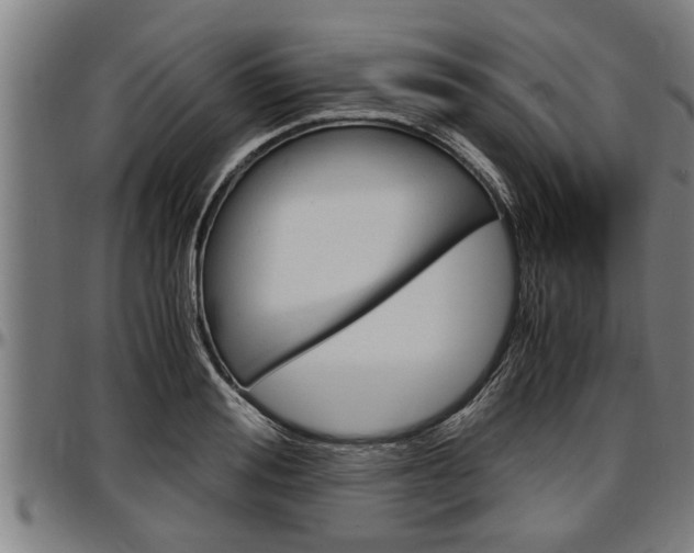 X0000097500988200802220837