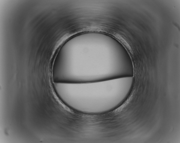 X0000097500989200802220837