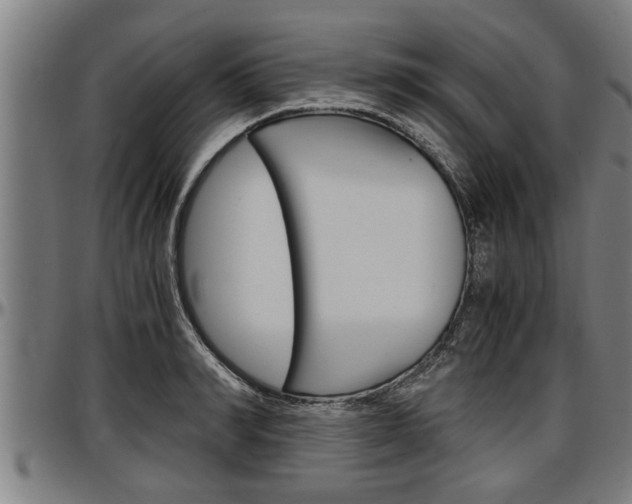 X0000097500990200802220837