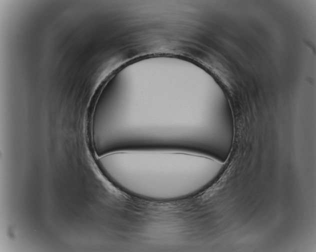 X0000097500991200802220837