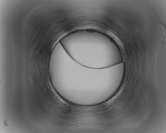 X0000097500993200802220837