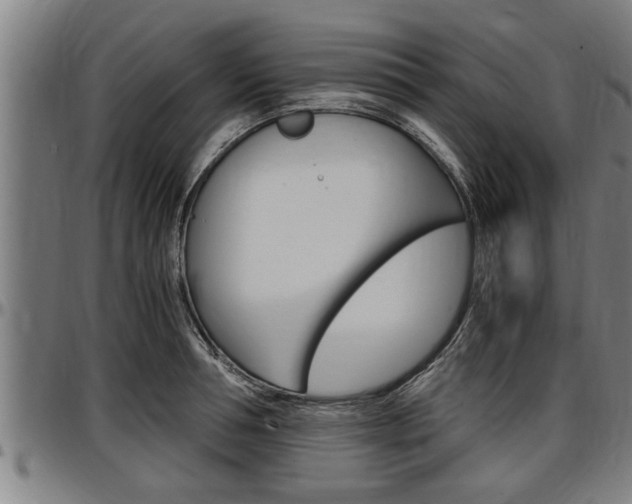 X0000097500994200802220837