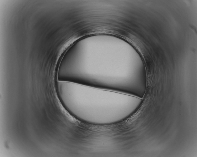 X0000097500995200802220837