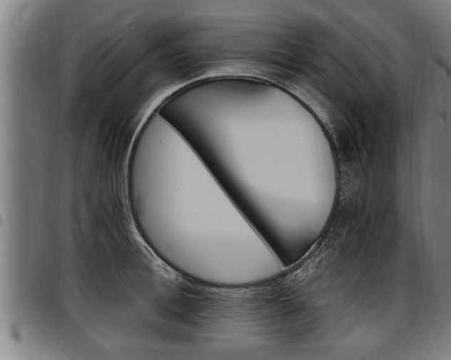 X0000097500996200802220837