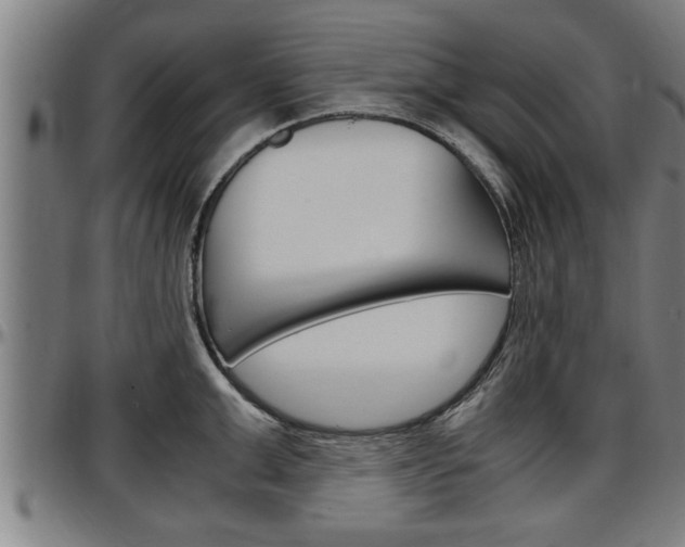 X0000097500999200802220837