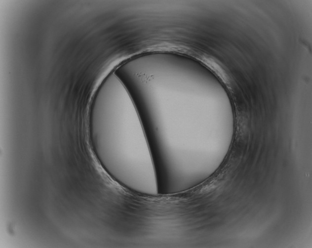 X0000097501000200802220837