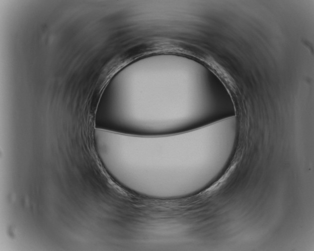 X0000097501001200802220837