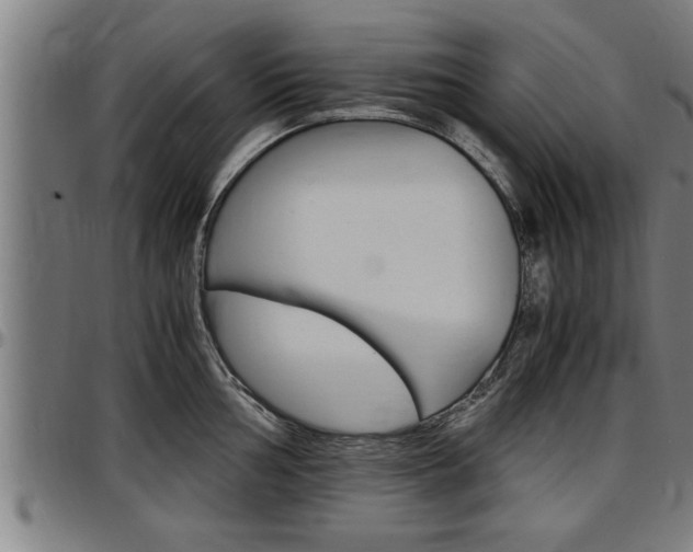 X0000097501002200802220837