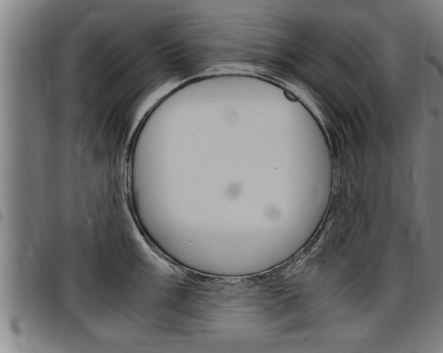 X0000097501003200802220837