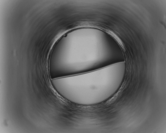 X0000097501004200802220837