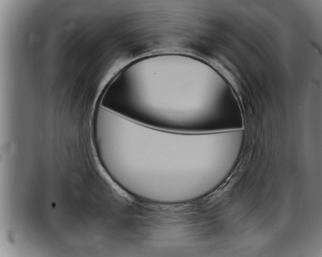 X0000097501005200802220837