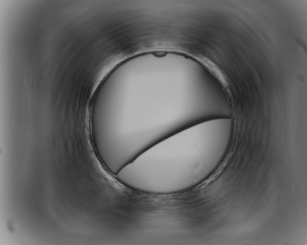 X0000097501006200802220837