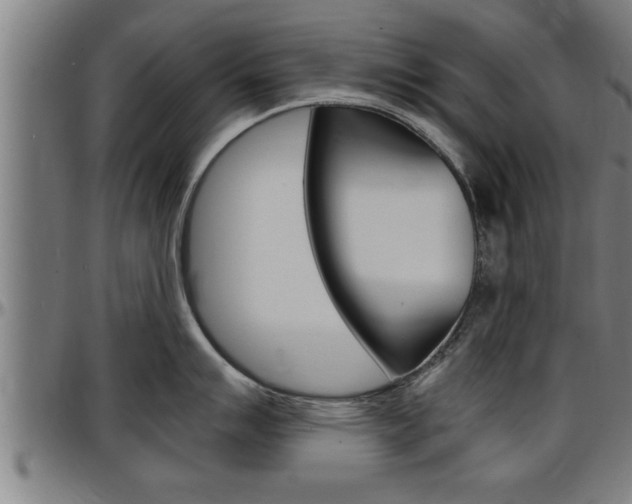 X0000097501007200802220837