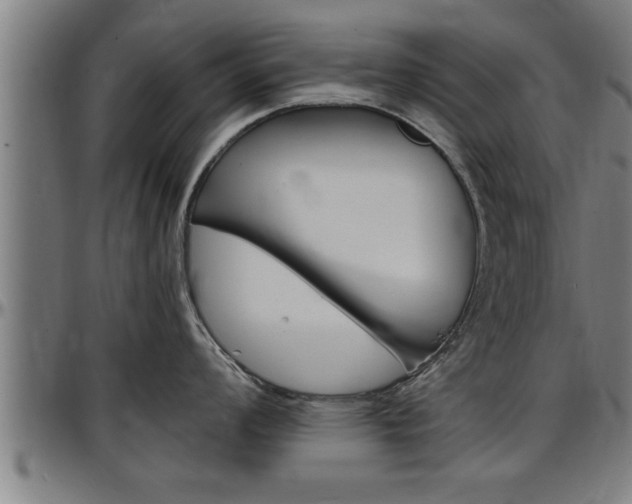 X0000097501008200802220837