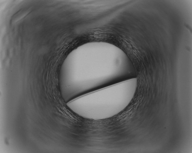 X0000097501009200802220836