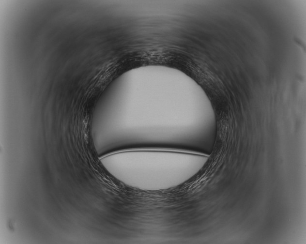 X0000097501010200802220836