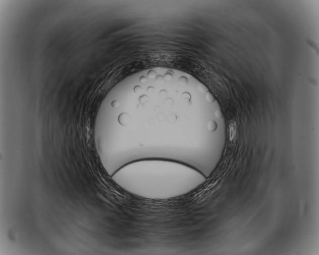 X0000097501011200802220836
