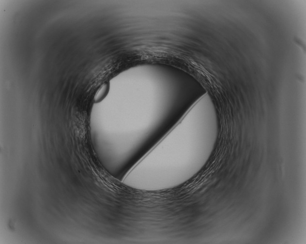 X0000097501012200802220836