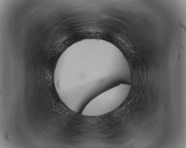 X0000097501013200802220836
