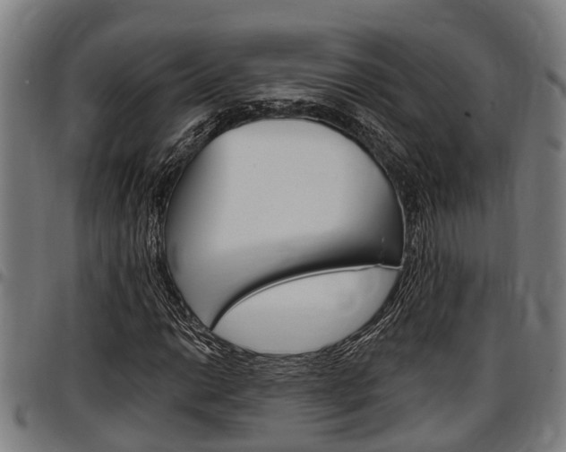 X0000097501014200802220836