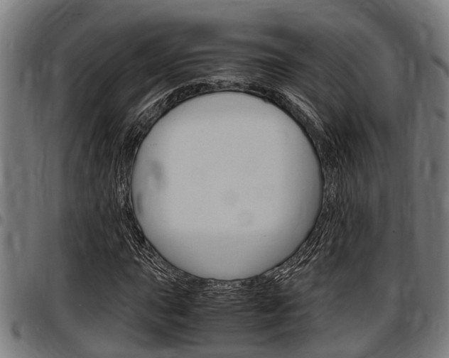 X0000097501015200802220836