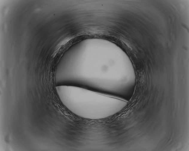 X0000097501016200802220836