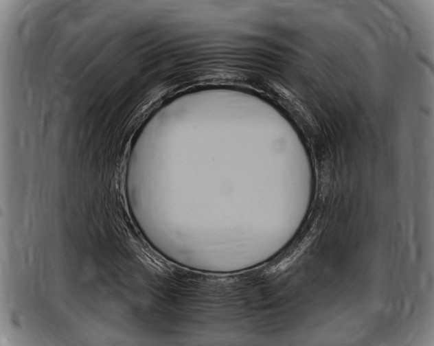 X0000097501017200802220836