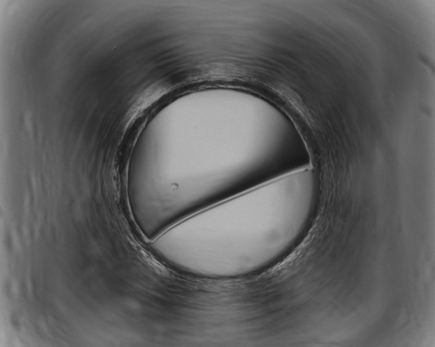 X0000097501018200802220836