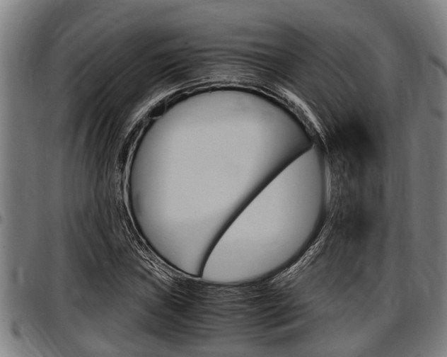 X0000097501019200802220836