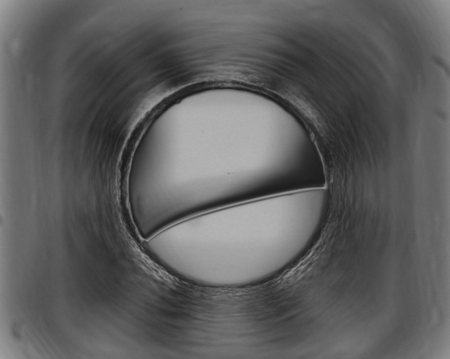 X0000097501020200802220836
