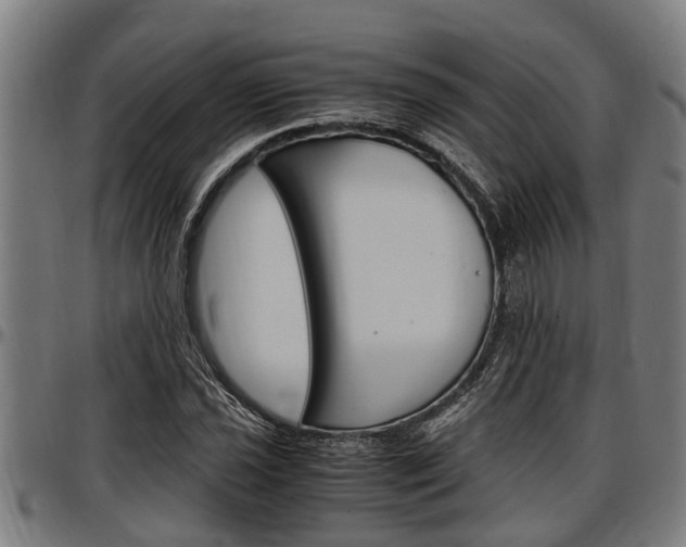 X0000097501021200802220836