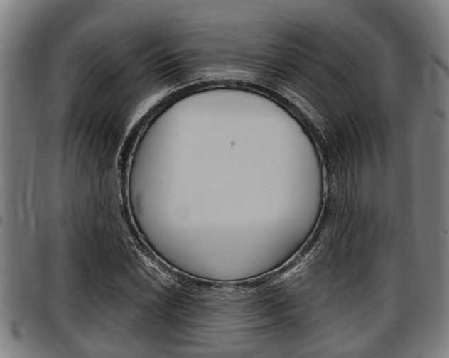 X0000097501022200802220836