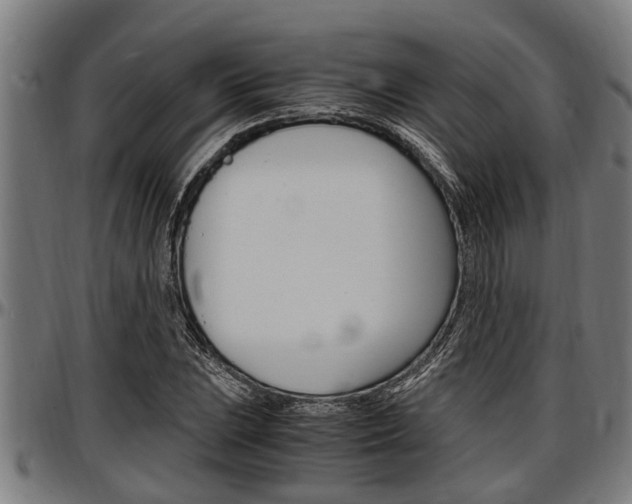 X0000097501023200802220836