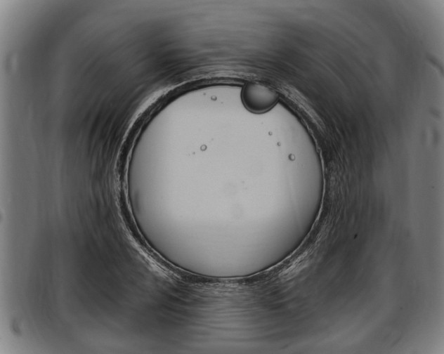 X0000097501024200802220836
