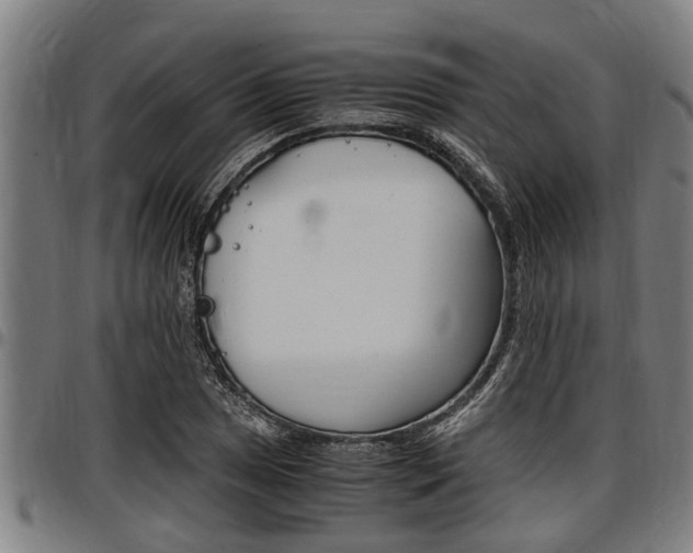 X0000097501025200802220836
