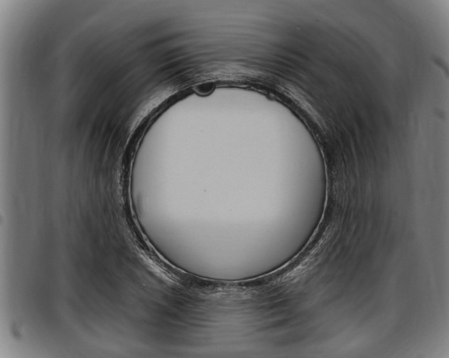 X0000097501026200802220836